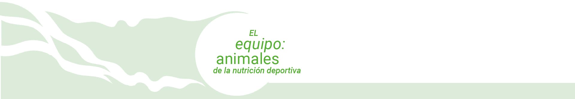 el-equipo